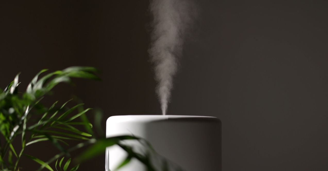 A white humidifier emitting vapor with a plant in the foreground