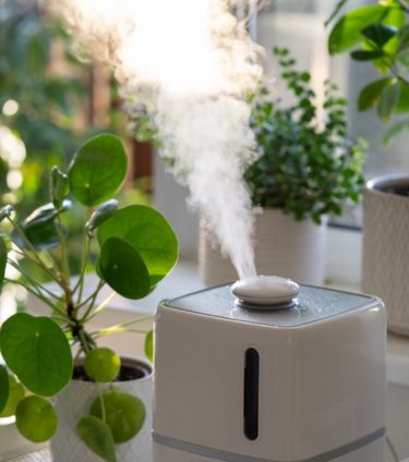 A humidifier releasing mist surrounded by green potted plants on a windowsill