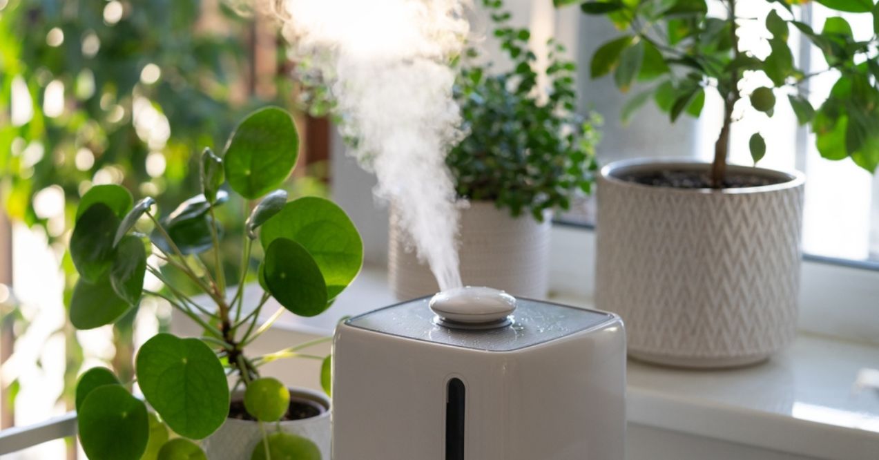 A humidifier releasing mist surrounded by green potted plants on a windowsill