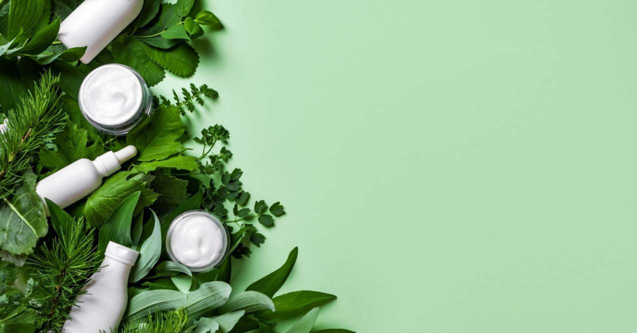 Natural skincare products with green leaves on a light green background