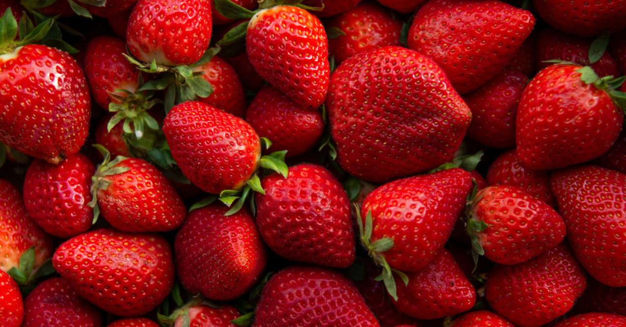 A close-up of fresh strawberries