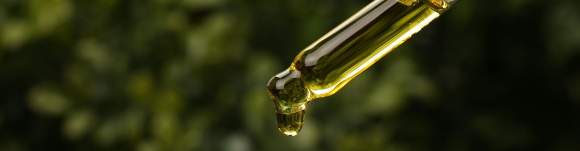 Close-up of a dropper with golden oil and green foliage background