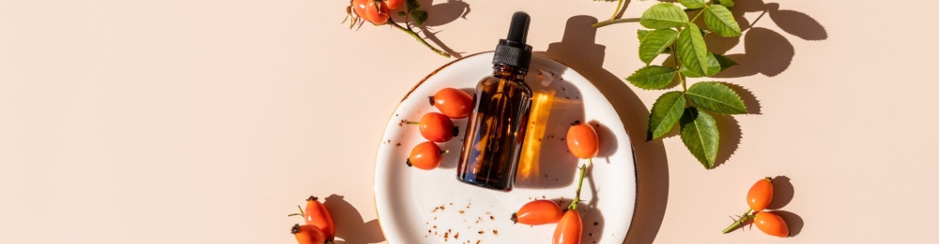 Rosehip oil bottle with rosehip berries and leaves on a white plate