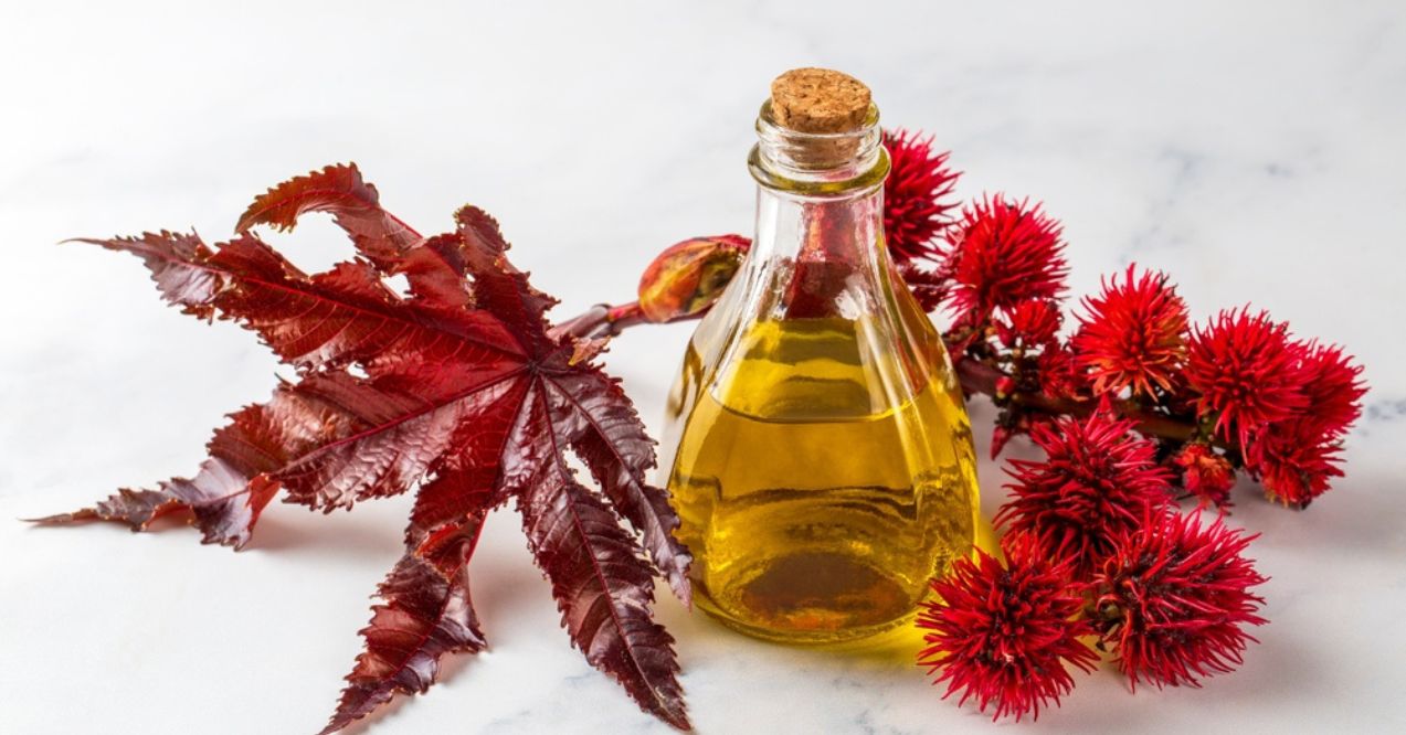 A glass bottle filled with castor oil, accompanied by vibrant red castor plant leaves