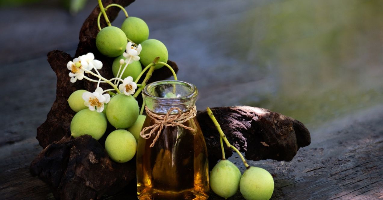 A small glass jar of tamanu oil placed beside fresh green tamanu fruits