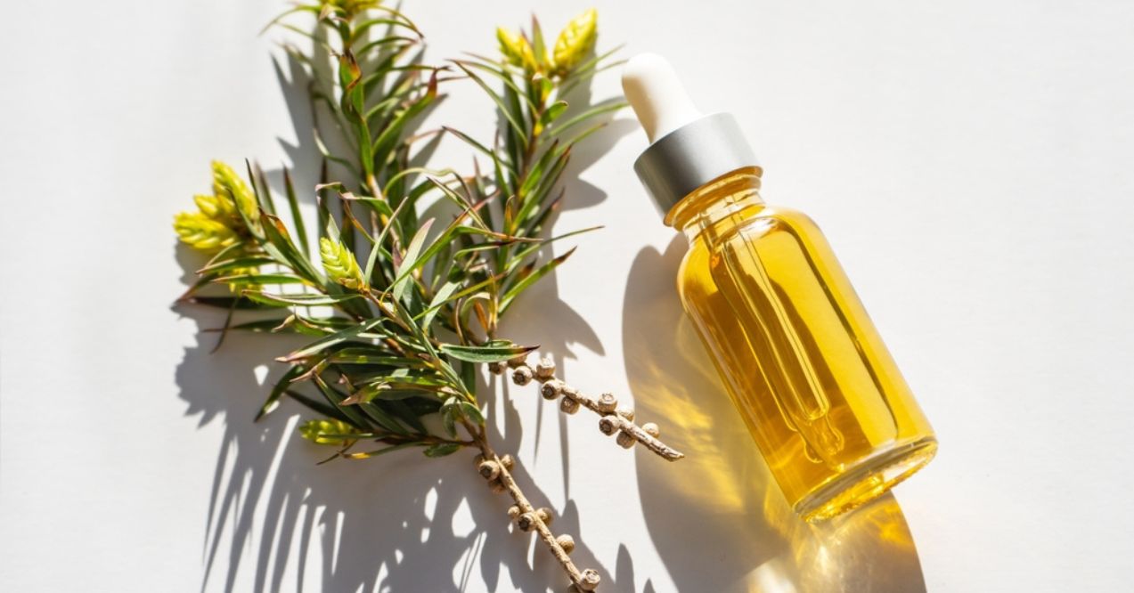 A dropper bottle of tea tree oil beside a sprig of tea tree leaves