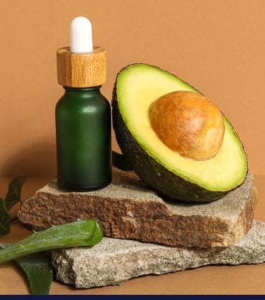 Avocado oil bottle with half avocado, leaves, and aloe vera on stacked stones