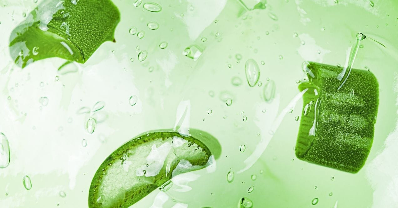 Fresh aloe vera and lime slices in water with bubbles, vibrant green background