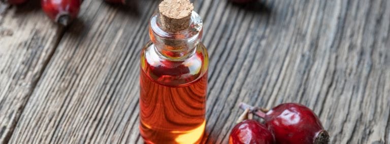 Small glass bottle of rosehip oil with fresh rosehips on a rustic wooden surface