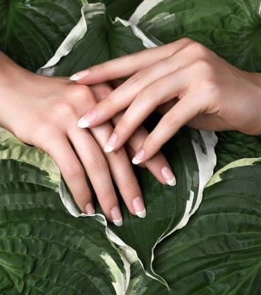 Hands with French manicure