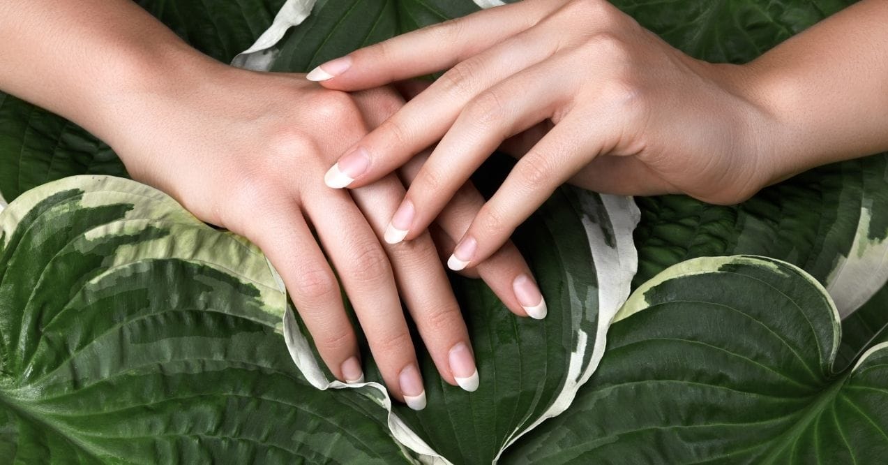 Hands with French manicure